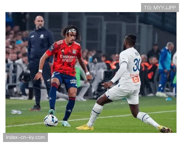 南特凭借对手乌龙与点球主场二比零战胜勒阿弗尔